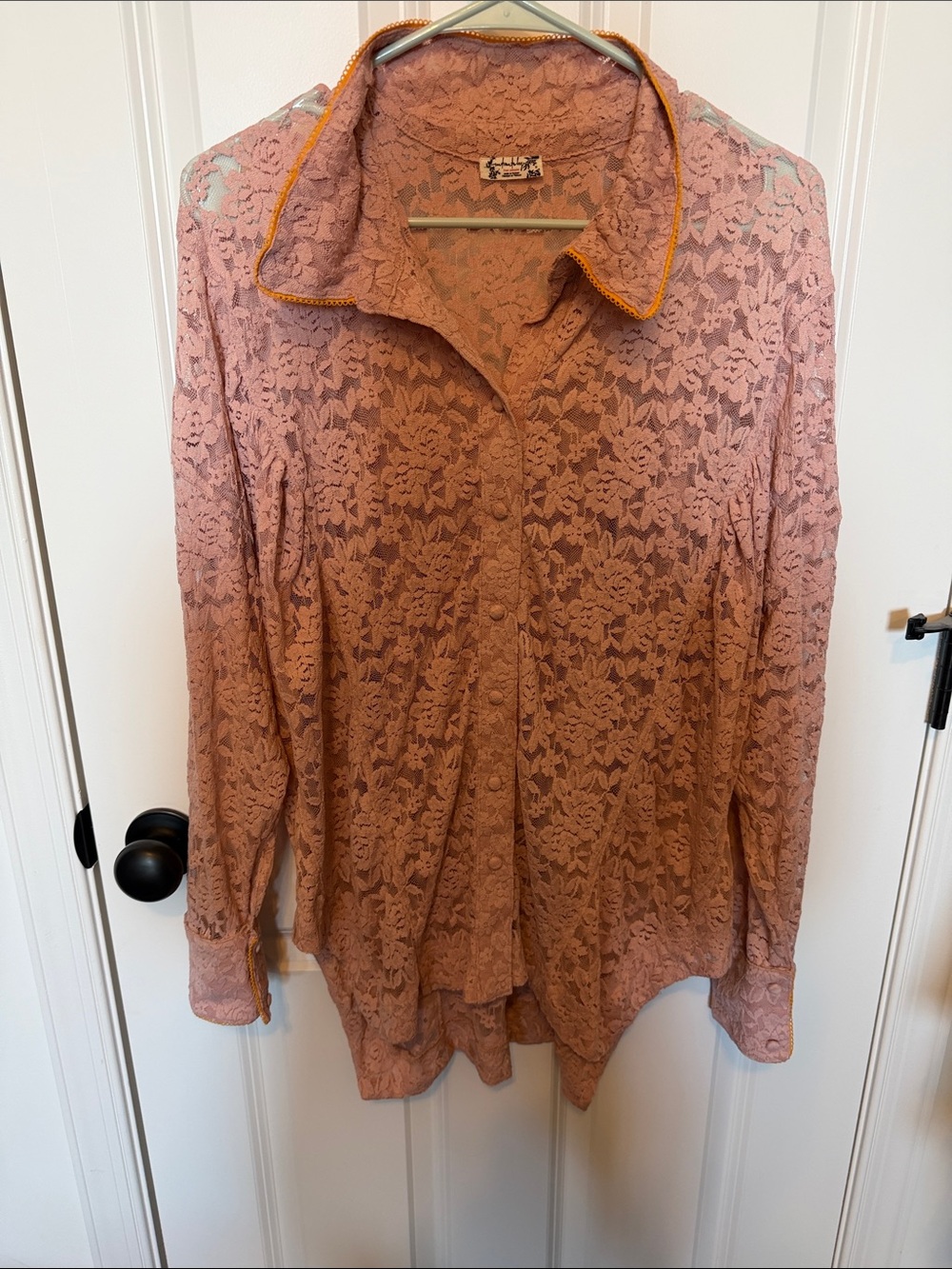 Free People Intimately Lace Button-Front Long-Sleeve Top in Dusty Rose